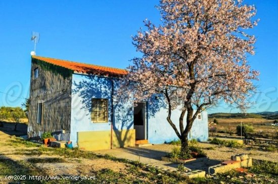  Casa de campo-Masía en Venta en Jumilla Murcia 