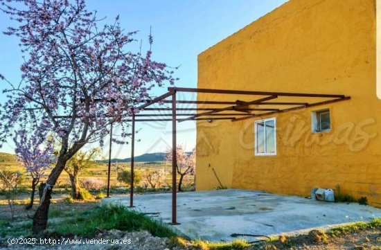 Casa de campo-Masía en Venta en Jumilla Murcia