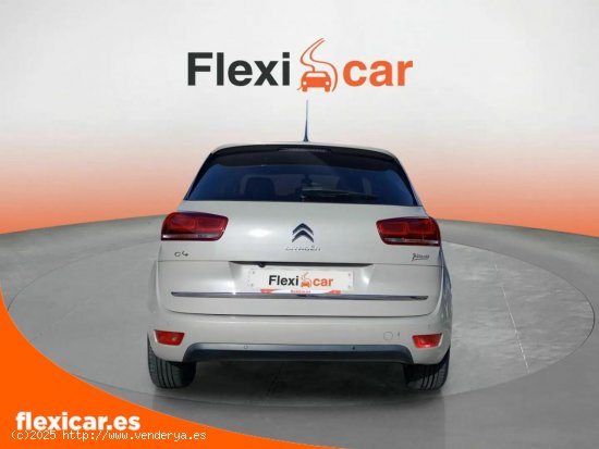 Citroën C4 Picasso BlueHDi 88KW (120CV) EAT6 Feel - Santander