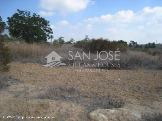 VENTA DE PARCELA CON POSIBILIDAD DE ALBERGUE EN ASPE EN LAS FUENTES - ALICANTE