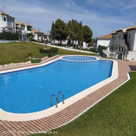  BUNGALOW 2 HABS LAGO JARDIN EN LAGO JARDIN PISCINA 69.900€ - ALICANTE 