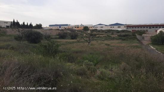 Parcela Rural en el polígono el Pastoret - ALICANTE