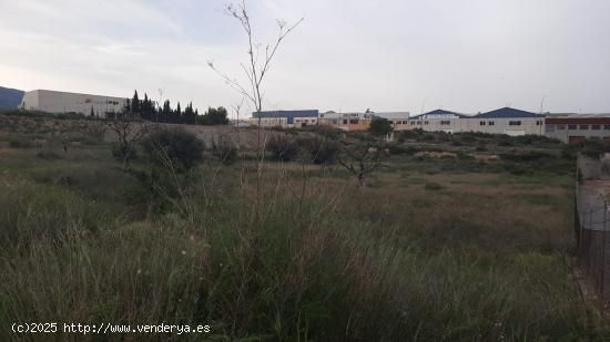 Parcela Rural en el polígono el Pastoret - ALICANTE