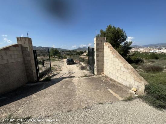 Parcela de terreno Rural cercana al casco urbano - ALICANTE