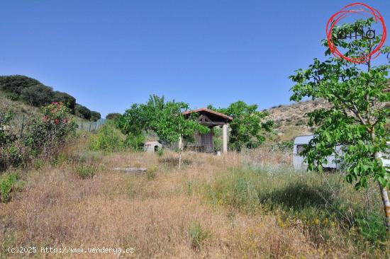 MIRANDA DE ARGA. SE VENDE FINCA RÚSTICA - NAVARRA