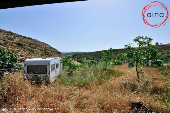 MIRANDA DE ARGA. SE VENDE FINCA RÚSTICA - NAVARRA