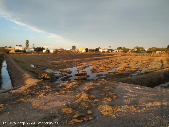 Finca de arroz de 13.140 m2, ( 6 jornales) en plena producción - TARRAGONA