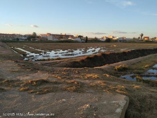 Finca de arroz de 13.140 m2, ( 6 jornales) en plena producción - TARRAGONA