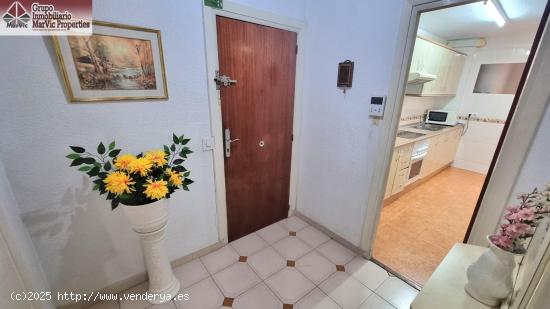 Amplio Piso en Venta en Calle Tomás Ortuño, Benidorm - ALICANTE