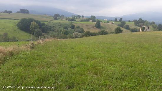  Terreno rustico en Barcena de Carriedo - CANTABRIA 