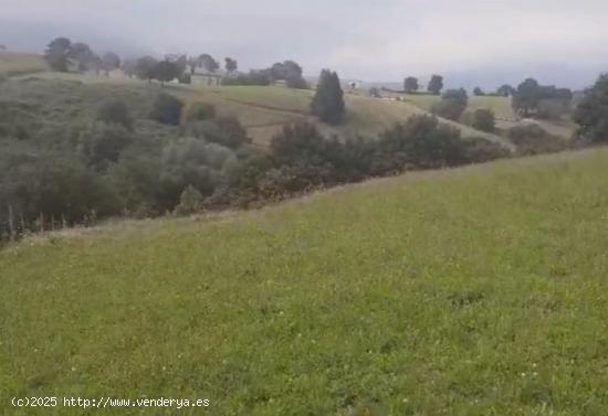 Terreno rustico en Barcena de Carriedo - CANTABRIA