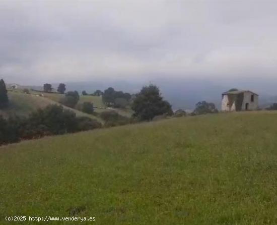 Terreno rustico en Barcena de Carriedo - CANTABRIA