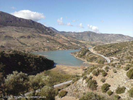 SE VENDE FINCA EN MONTECORTO CON VISTAS A SIERRA DE GRAZALEMA - MALAGA