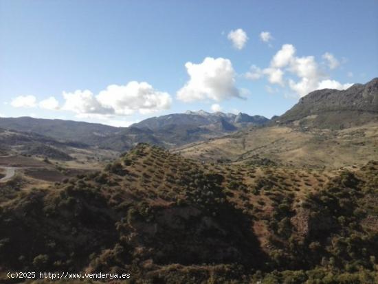 SE VENDE FINCA EN MONTECORTO CON VISTAS A SIERRA DE GRAZALEMA - MALAGA