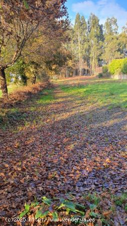 FINCA RUSTICA EN VENTA EN PADRON - A CORUÑA