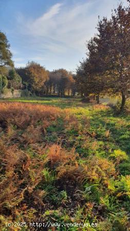 FINCA RUSTICA EN VENTA EN PADRON - A CORUÑA