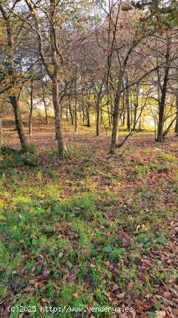 FINCA RUSTICA EN VENTA EN PADRON - A CORUÑA