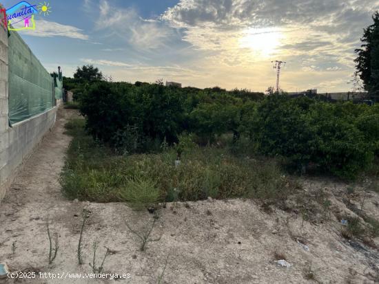 HUERTA EN LAS ARBOLEDAS - MURCIA