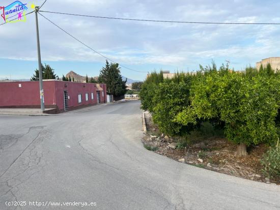  HUERTA EN LAS ARBOLEDAS - MURCIA 