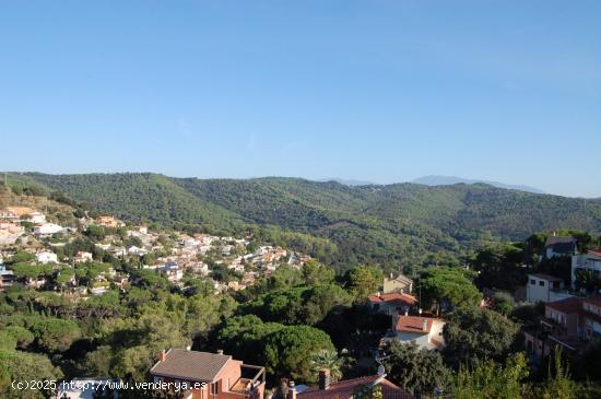 Terreno edificable en Argentona - BARCELONA