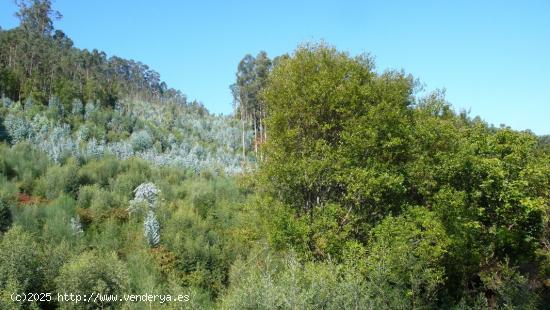 Finca no urbanizable - PONTEVEDRA