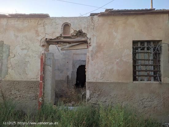 FINCA RÚSTICA EN SAN FULGENCIO - ALICANTE - ALICANTE