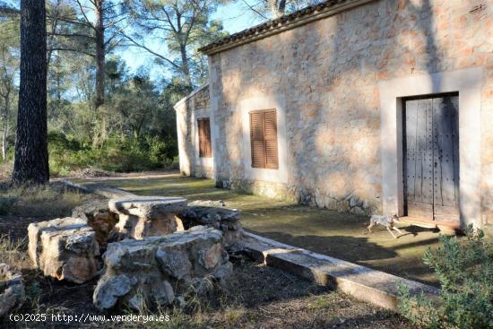 Casa de sueño con bosque propio - BALEARES