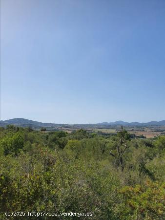  Solar con vistas despejadas. - BALEARES 