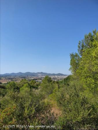 Solar con vistas despejadas. - BALEARES