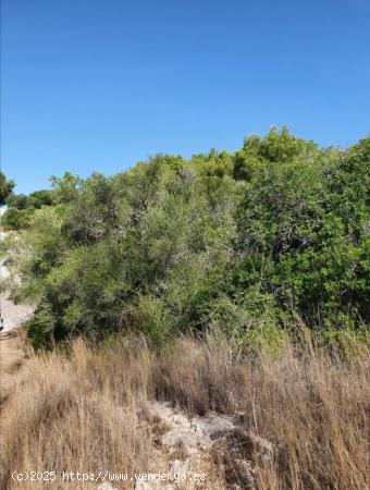 Solar con vistas despejadas. - BALEARES