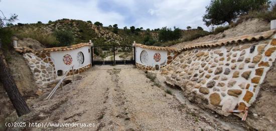  CASA DE CAMPO  CON 36000M2 DE TERRENO EN YÉCHAR - MURCIA 