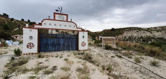 CASA DE CAMPO  CON 36000M2 DE TERRENO EN YÉCHAR - MURCIA