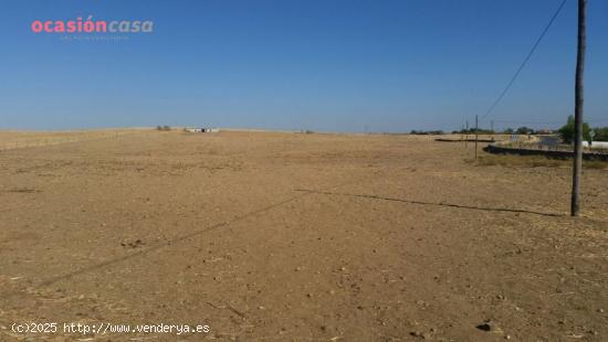 VENTA DE PARCELA MUY CERCANA A POZOBLANCO - CORDOBA