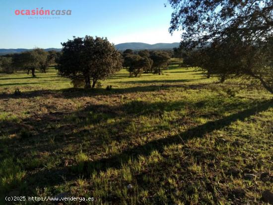 VENTA DE FINCA EN ALCARACEJOS - CORDOBA