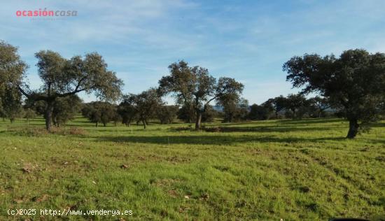 VENTA DE FINCA EN ALCARACEJOS - CORDOBA