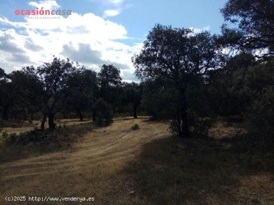 FINCA EN VENTA EN VILLANUEVA DEL DUQUE - CORDOBA