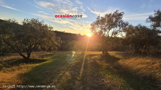  CHALET CON PISCINA Y OLIVOS EN POZOBLANCO - CORDOBA 