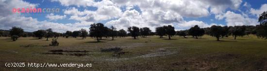  FINCA DE ENCINAS CON CORTIJO Y NAVES - CORDOBA 