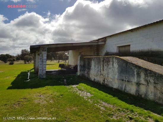 FINCA DE ENCINAS CON CORTIJO Y NAVES - CORDOBA