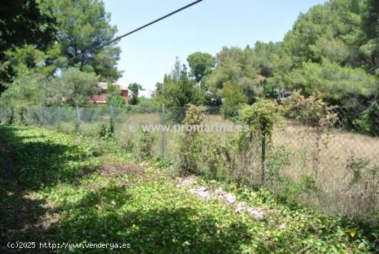 Parcela en plena urbanización del Tosalet de Javea - ALICANTE