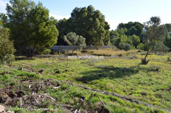 Terreno Partida las Rotas - ALICANTE