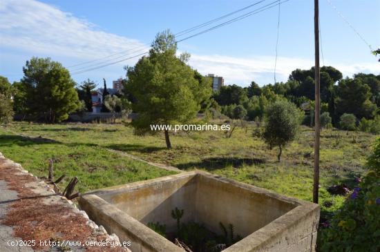 Terreno Partida las Rotas - ALICANTE