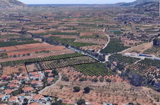 Finca rústica de 10.670 m2 en Orba, corazón de la Vall de Laguar - ALICANTE