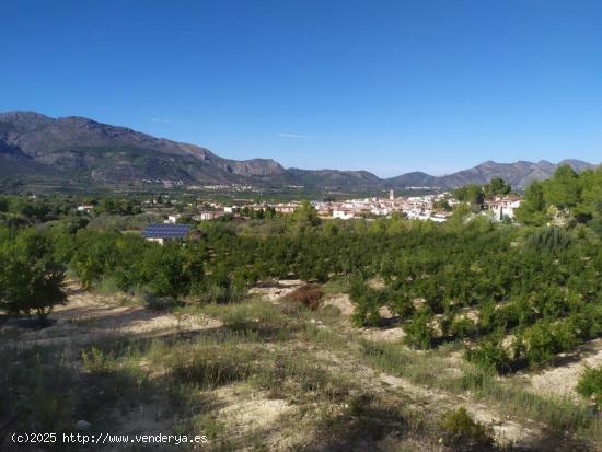 Parcela agrícola en venta en Orba - ALICANTE