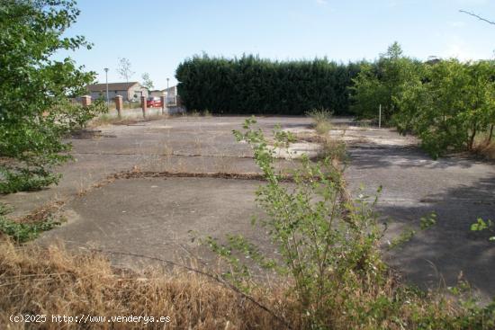 PARCELA UBICADA EN LA ZONA DE VIANA DE CEGA - VALLADOLID