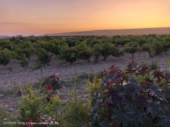 Se VENDE MARAVILLOSA FINCA CON NAVE EN SAN CEBRIÁN DE MAZOTE - VALLADOLID