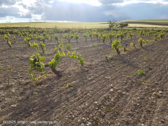 Se VENDE MARAVILLOSA FINCA CON NAVE EN SAN CEBRIÁN DE MAZOTE - VALLADOLID