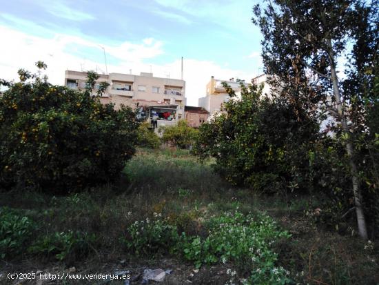 SE VENDE TERRENO RUSTICO EN PUENTE TOCINOS - MURCIA