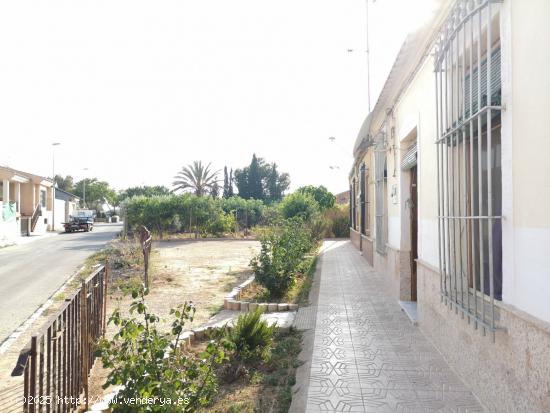 Espectacular Finca con vivienda y almacén Cercano a Cartagena - MURCIA