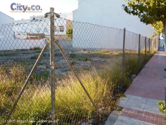 Terreno urbano en Molina de Segura - MURCIA